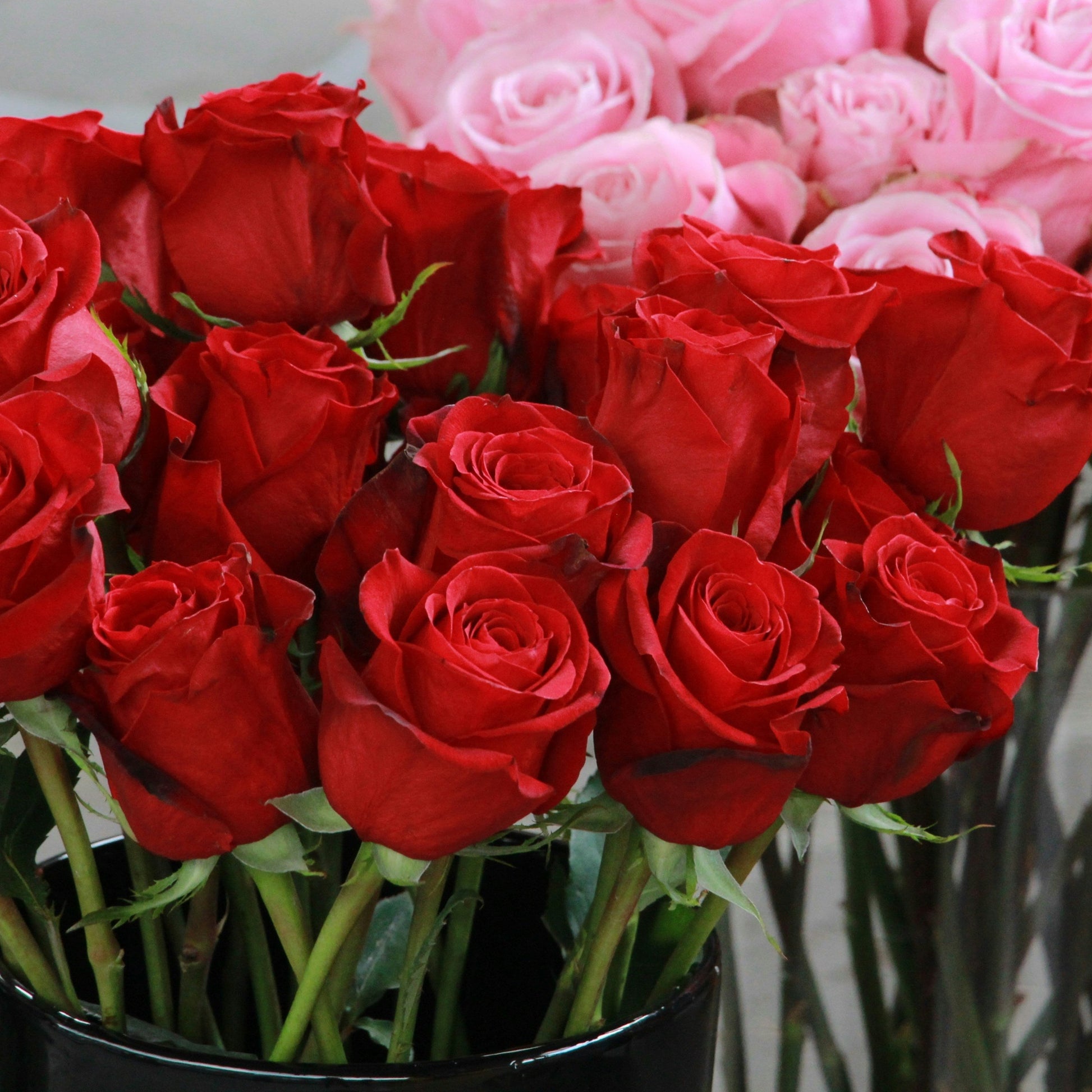A large bunch of red rose buds and a large bunch of pink rose buds in vases