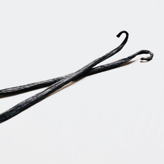 A pair of vanilla pods with curly tips on a white background