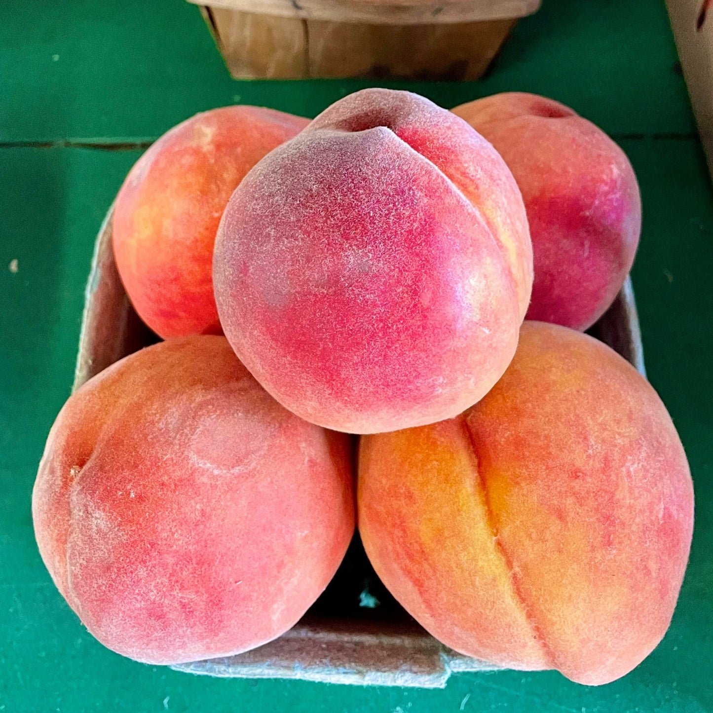 Peaches + Cream Candle