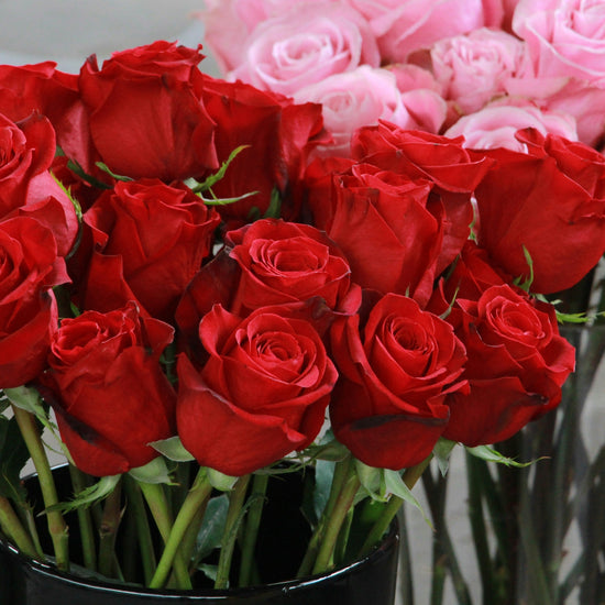 A large bunch of red rose buds and a large bunch of pink rose buds in vases