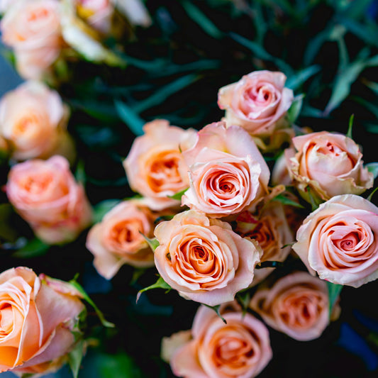 Petals + Bloom | Essential Oil Candle