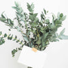 Bunch of fresh eucalyptus leaves in a vase with a white card and a gold clip