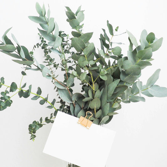 Bunch of fresh eucalyptus leaves in a vase with a white card and a gold clip