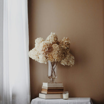 A large bouquet of vanilla coloured dried hydrangeas in a elegant glass vase sitting on top a stack of books on a side table against a coffee coloured background wall on the right side of a window with a white flowing curtain. A candle is placed next to the books.