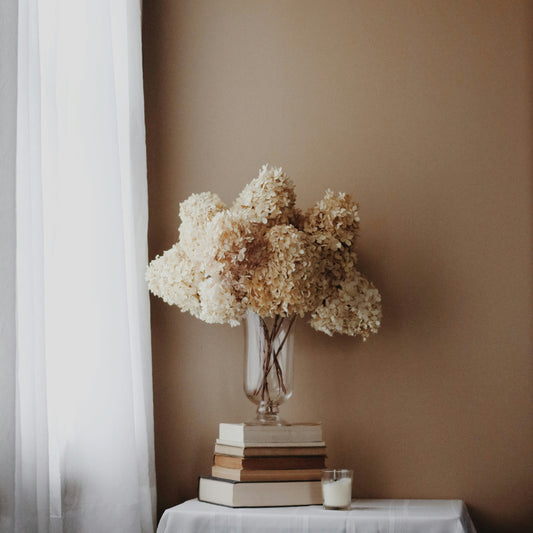 A large bouquet of vanilla coloured dried hydrangeas in a elegant glass vase sitting on top a stack of books on a side table against a coffee coloured background wall on the right side of a window with a white flowing curtain. A candle is placed next to the books.