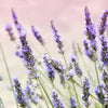 Lavender flowers against a blurred pink sky and green fields