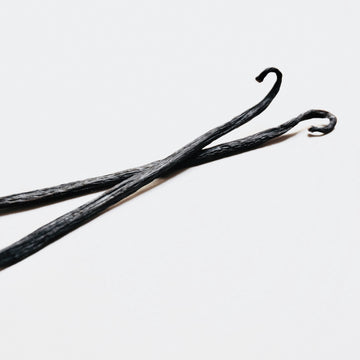 A pair of vanilla pods with curly tips on a white background