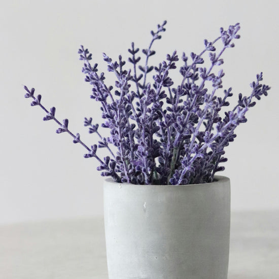 Vibrant lavender flowers in a white marble jar