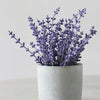 Vibrant lavender flowers in a white marble jar