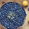 Blueberry filled pie with lemon zest sprinkled in the center with whole lemons in the background on a timber surface