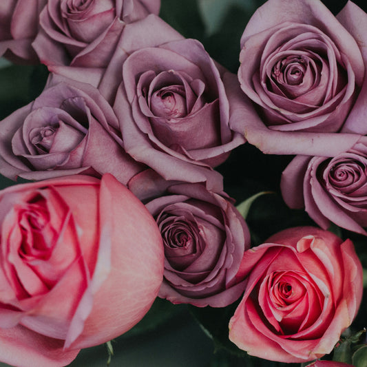 Melody of Roses Candle | Rose, Sichuan + Tonka Bean - Seven + Ember